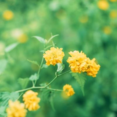 洪荒剑诀最新版
